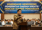 Pemerintah Daerah Didorong Cari Sumber Pendanaan Kreatif