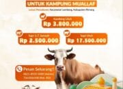 Lazismu Pinrang Buka Donasi Qurban untuk Kampung Muallaf 2 Lazismu Pinrang Buka Donasi Qurban untuk Kampung Muallaf Supalamedia