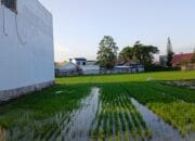 Pemkab Pinrang Berkomitmen Jaga Alih Fungsi Lahan Pertanian 8 Pemkab Pinrang Berkomitmen Jaga Alih Fungsi Lahan Pertanian Supalamedia