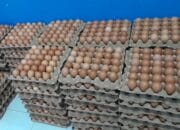 Kementan Tetapkan Harga Acuan Ayam Hidup Rp 19.500 dan Telur Rp 24.000 per Kg Mulai 15 Juli Supalamedia