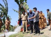 Bupati Pinrang Tinjau Pompanisasi di Padakkalawa, Bantu Petani Hadapi Kemarau Supalamedia