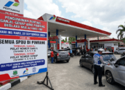 Ganjil-Genap BBM Pinrang Berlaku Hari Ini, Cek Pelat Nomor Anda 3 Ganjil-Genap BBM Pinrang Berlaku Hari Ini, Cek Pelat Nomor Anda Supalamedia