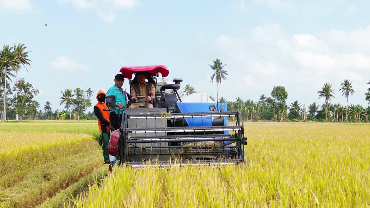 Panen Perdana di Tiroang, Produktivitas Tinggi Jadi Harapan Petani Supalamedia