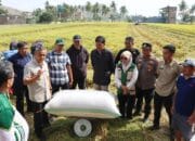 Panen Perdana di Paleteang Capai 13 Ton per Hektare