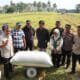 Panen Perdana di Paleteang Capai 13 Ton per Hektare Supalamedia