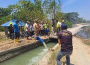 Petani Mattiro Sompe Berjibaku Jaga Air Irigasi Lewat Pompanisasi Katteong 4 Petani Mattiro Sompe Berjibaku Jaga Air Irigasi Lewat Pompanisasi Katteong Supalamedia