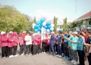 Peringati HUT IBI ke-75, Pemkab Pinrang Harap Bidan Perluas Edukasi Kesehatan Keluarga