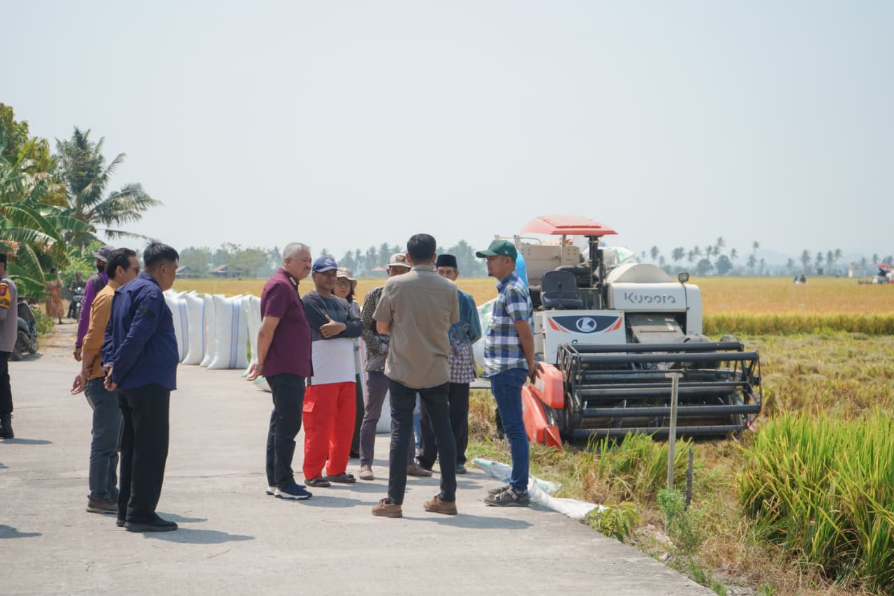 Bupati Pinrang Cek Panen Padi dan Pompanisasi di Dua Kecamatan Supalamedia