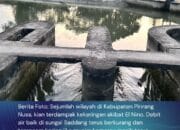 Berita Foto : Debit Air Aliran Sungai Saddang Nampak Berkurang 3 Berita Foto : Debit Air Aliran Sungai Saddang Nampak Berkurang Supalamedia