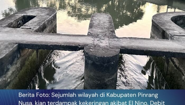 Berita Foto : Debit Air Aliran Sungai Saddang Nampak Berkurang