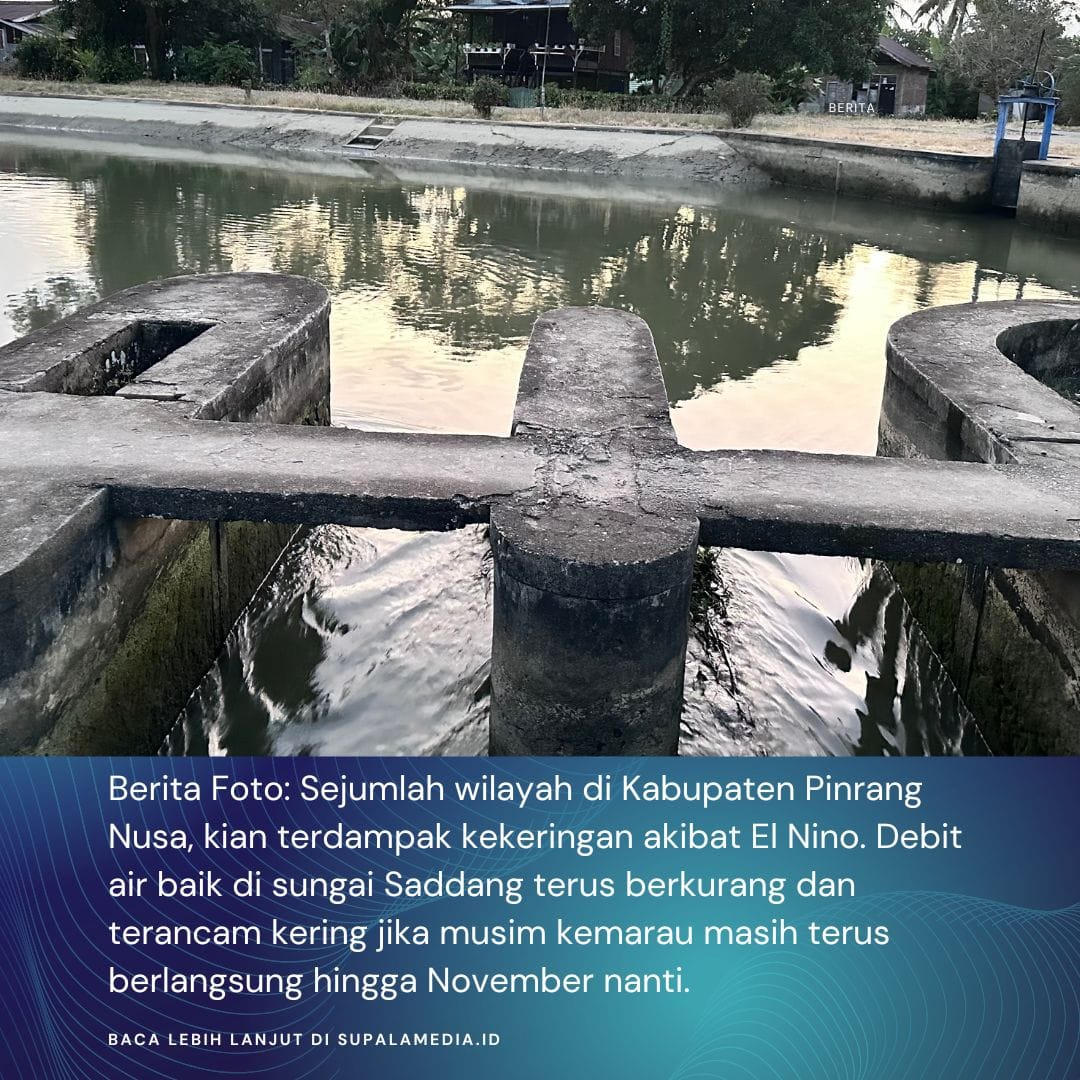 Berita Foto : Debit Air Aliran Sungai Saddang Nampak Berkurang Supalamedia